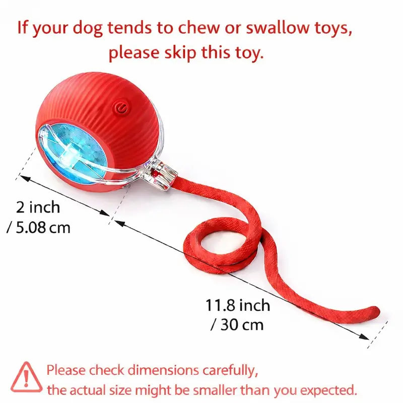 Interactive Teaser Toy for Cats & Dogs