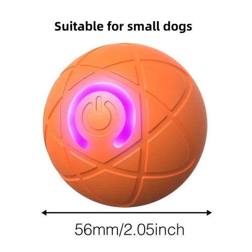 Interactive Shaky Ball Toy for Dogs