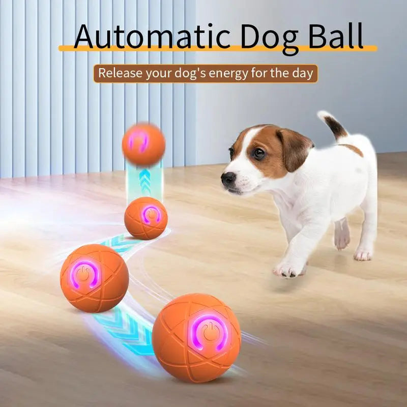 Interactive Shaky Ball Toy for Dogs