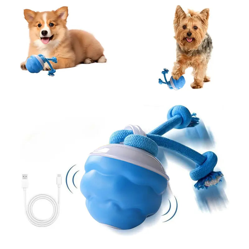 Motion-Activated Interactive Dog Toy