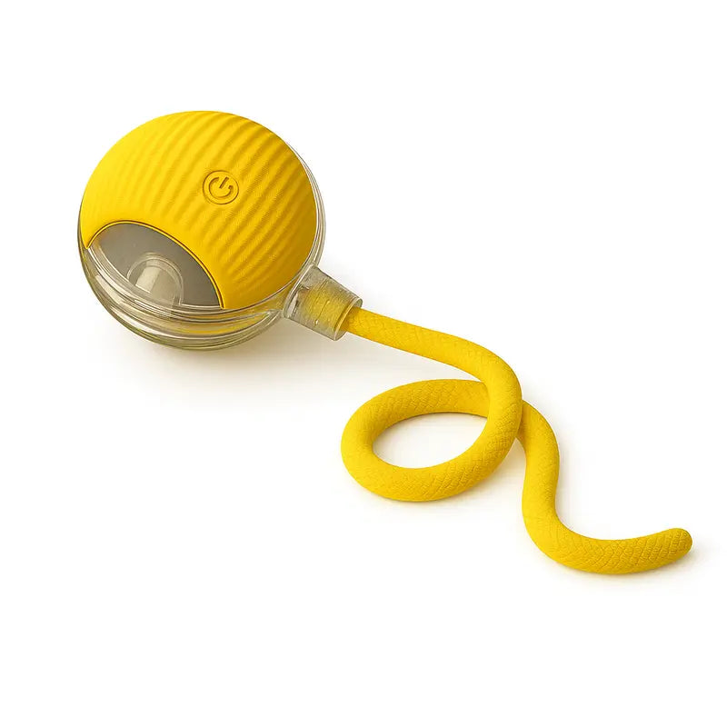 Interactive Teaser Toy for Cats & Dogs