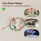 Cat holding a red and green chew rope beside three pet-play comparison images