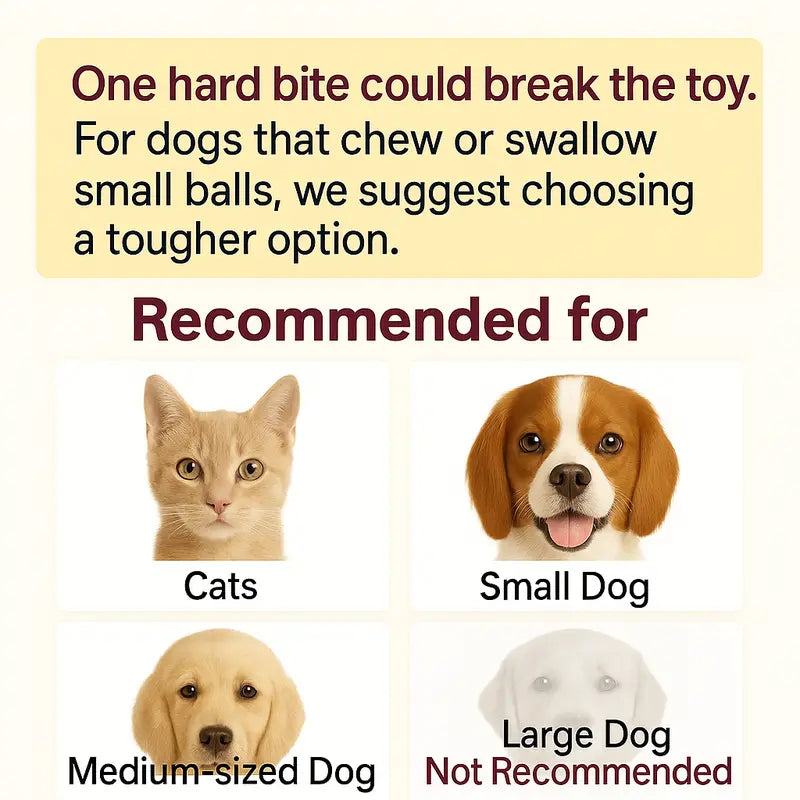 Interactive Teaser Toy for Cats & Dogs
