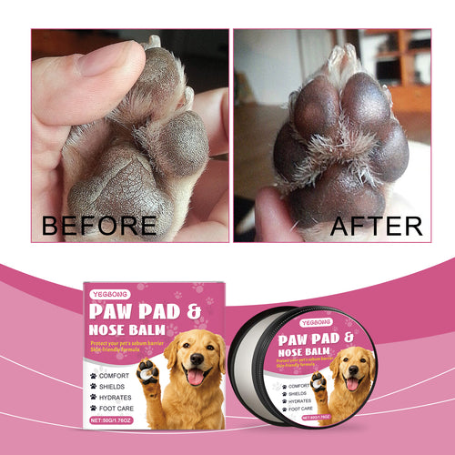 Dog Paw Balm for Everyday Paw Care