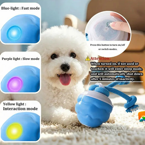 Motion-Activated Interactive Dog Toy