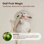 White cat holding a colorful gall fruit cat chew rope, with a gall fruit inset