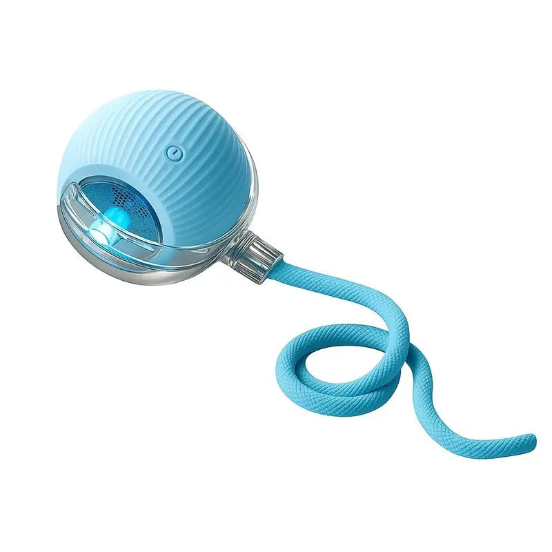 Interactive Teaser Toy for Cats & Dogs