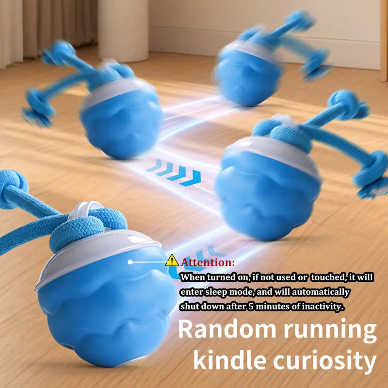 Motion-Activated Interactive Dog Toy