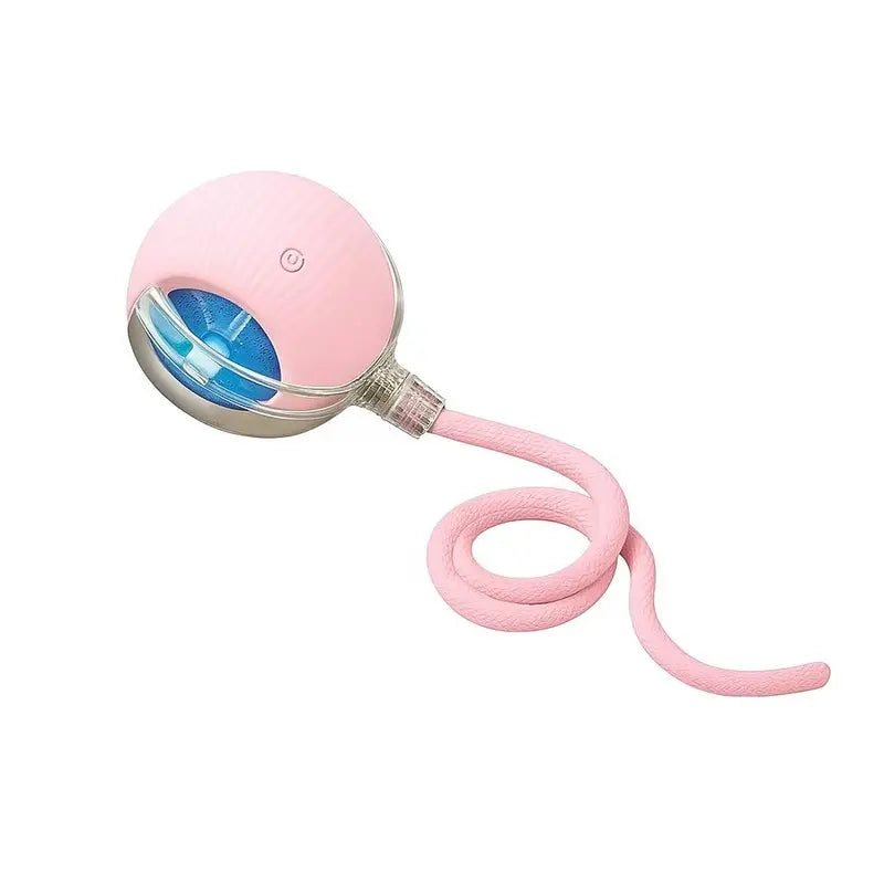 Interactive Teaser Toy for Cats & Dogs