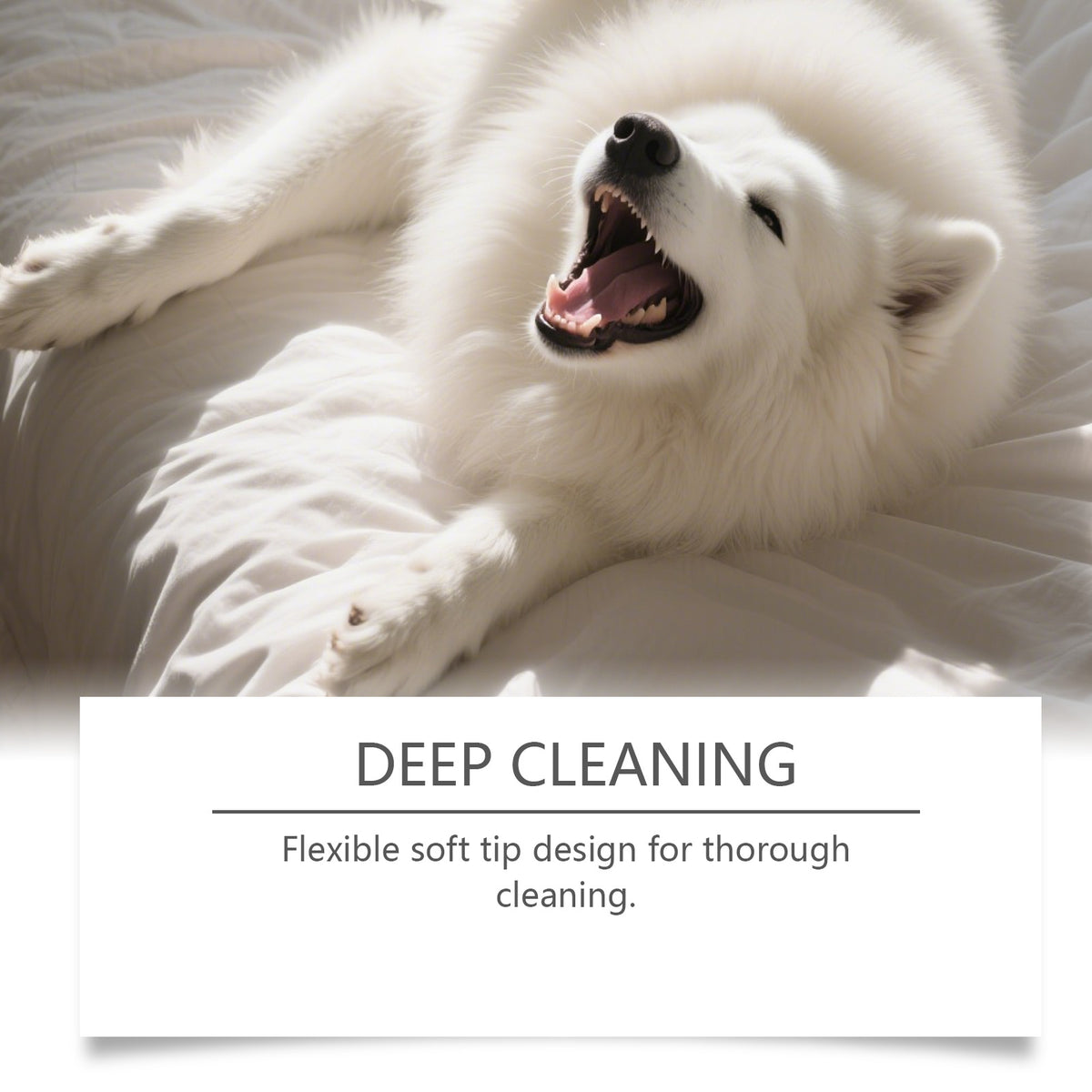 Pet Ear Cleaning Finger Wipes for Dogs & Cats