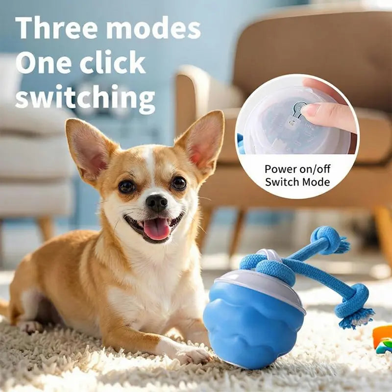 Motion-Activated Interactive Dog Toy