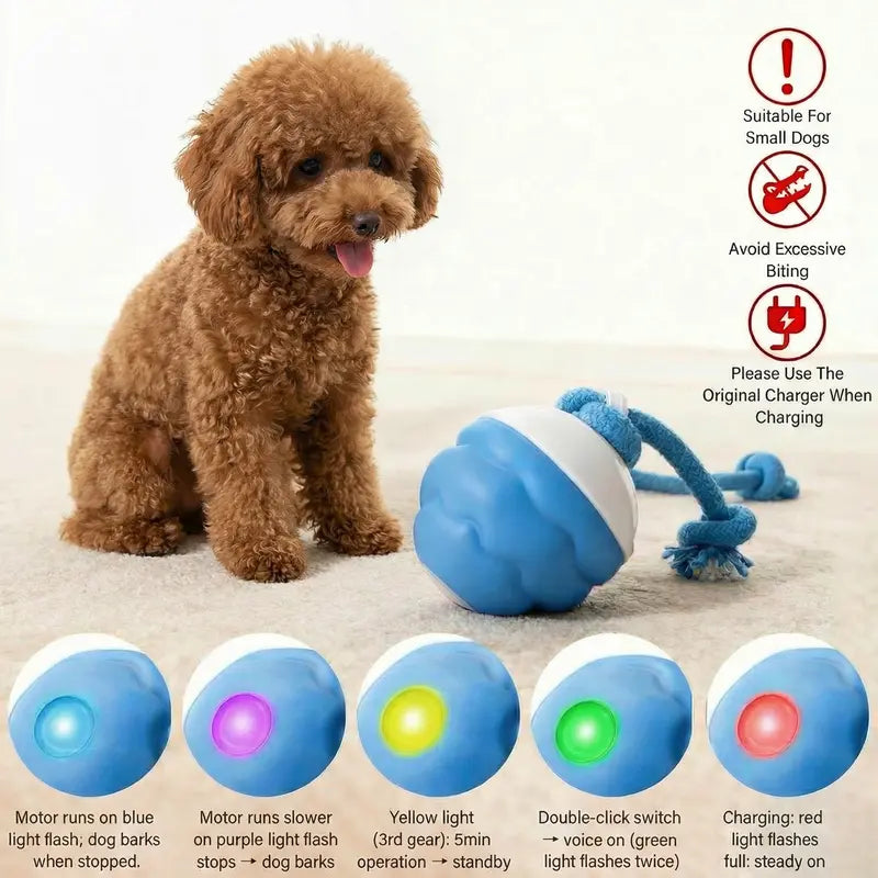 Motion-Activated Interactive Dog Toy