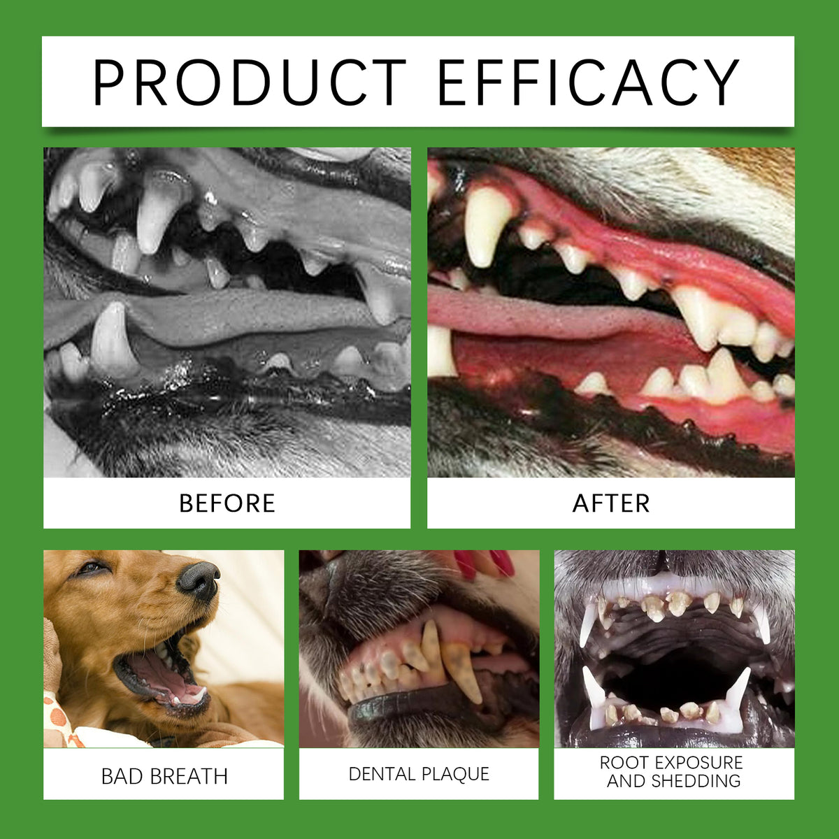 Dog Dental Cleaning Powder