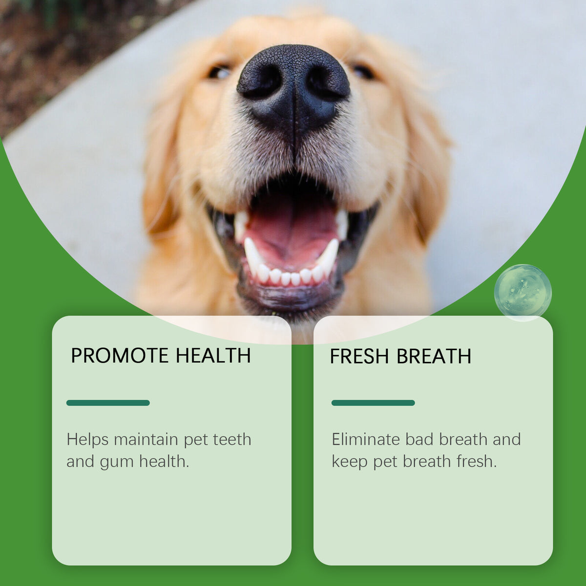 Dog Dental Cleaning Powder
