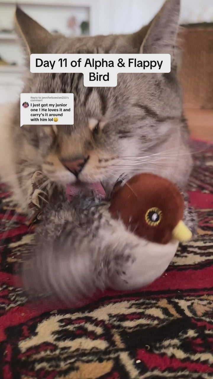 Tabby cat biting, kicking and cuddling the Flapping Sandpiper — a touch-activated cat toy with flapping wings and lifelike chirping