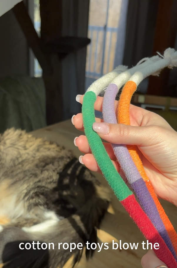 3-Pack Variety Organic Cotton Cat Chew Ropes